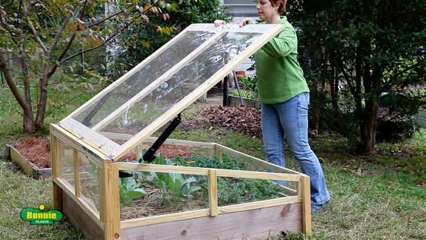 cold-frames-for-raised-beds-89_16 Студени рамки за повдигнати легла