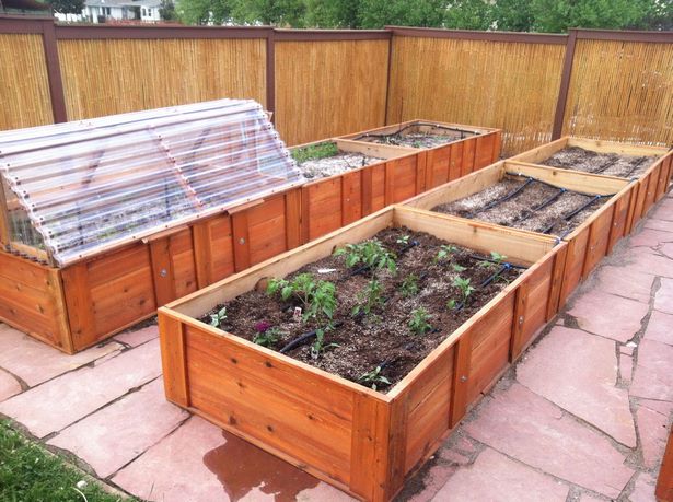 cold-frames-for-raised-beds-89_17 Студени рамки за повдигнати легла