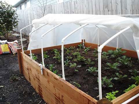 cold-frames-for-raised-beds-89_9 Студени рамки за повдигнати легла