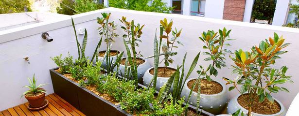 creating-a-garden-in-a-small-space-58_13 Създаване на градина в малко пространство
