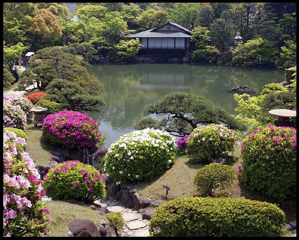 flowers-for-japanese-gardens-73_9 Цветя за японски градини