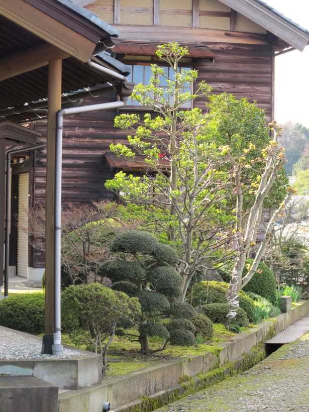 front-yard-japanese-landscaping-ideas-78_7 Преден двор японски идеи за озеленяване