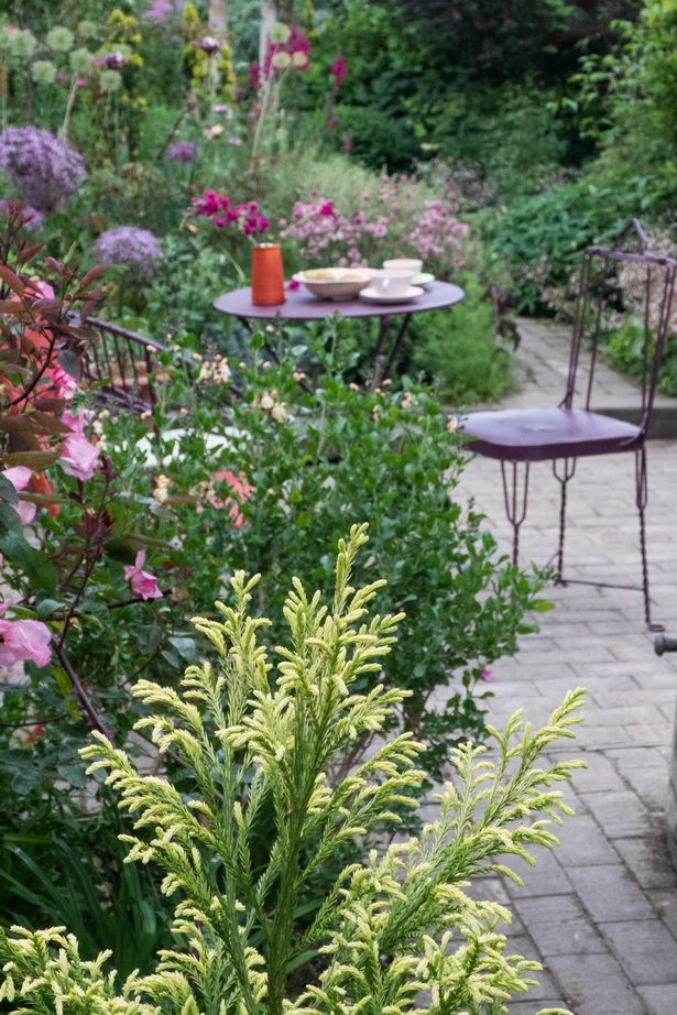 garden-plants-for-small-gardens-35 Градински растения за малки градини