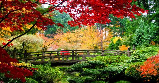 gardens-in-japan-11_5 Градини в Япония