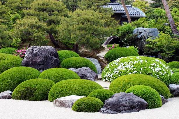 good-plants-for-japanese-garden-30_3 Полезни растения за Японската градина