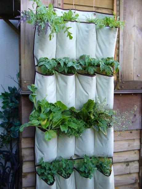 hanging-garden-for-small-spaces-77 Висяща градина за малки пространства