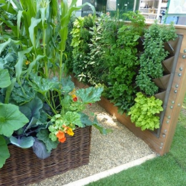 ideas-for-growing-vegetables-in-a-small-space-78_11 Идеи за отглеждане на зеленчуци в малко пространство