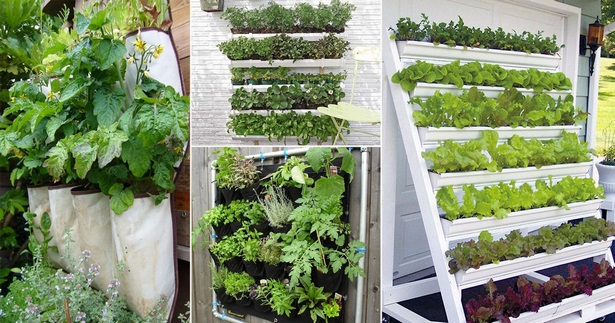 ideas-for-growing-vegetables-in-a-small-space-78_12 Идеи за отглеждане на зеленчуци в малко пространство