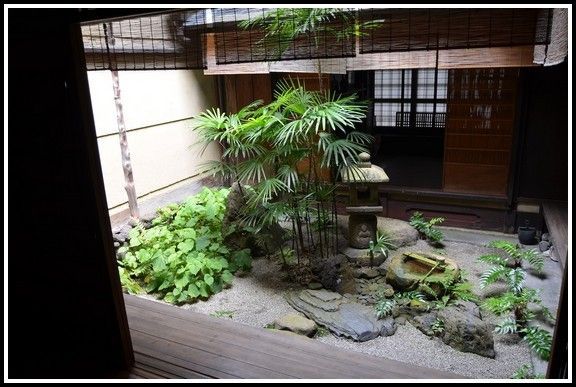 indoor-japanese-garden-plants-64_4 Закрит японски градински растения