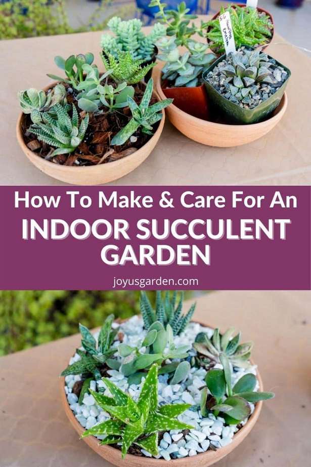 indoor-succulent-garden-87_18 Закрит сочен градина
