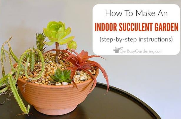 indoor-succulent-garden-87_3 Закрит сочен градина