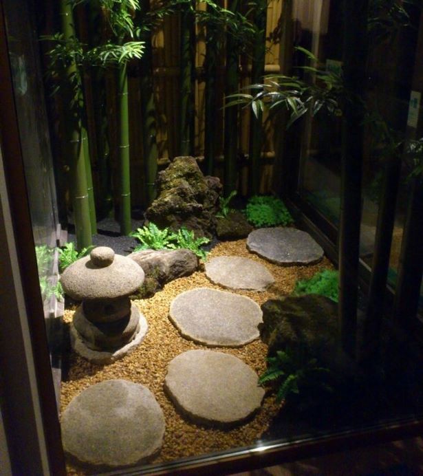 indoor-zen-garden-plants-50_10 Закрит Дзен градински растения