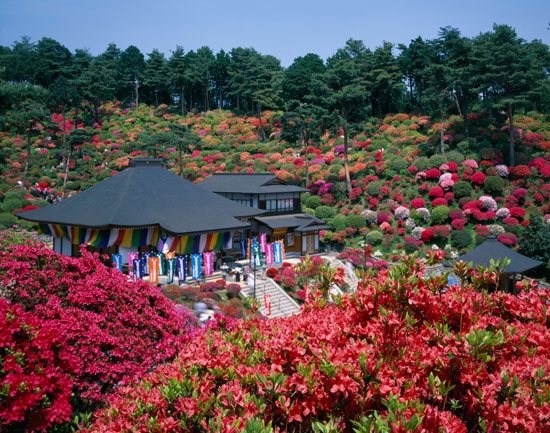 japan-garden-tours-85_3 Япония градина екскурзии