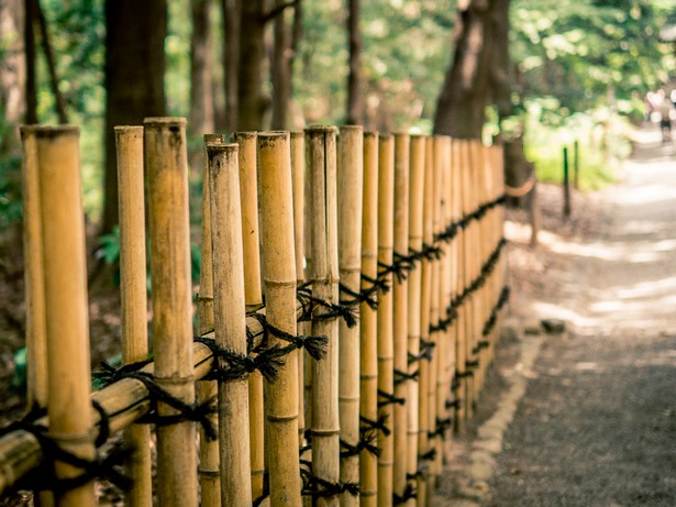 japanese-bamboo-fence-designs-50_8 Японски бамбук ограда дизайни
