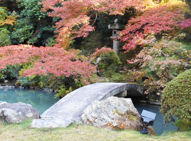 japanese-bridge-garden-ornament-74_3 Японски мост градински орнамент