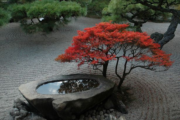 japanese-garden-basin-95_16 Японска градина басейн
