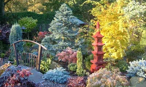japanese-garden-borders-66_2 Японска градина граници