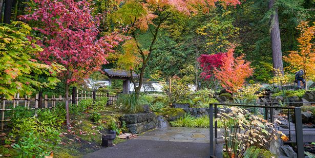 japanese-garden-colors-41_10 Японски градински цветове