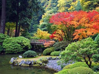 japanese-garden-colors-41_12 Японски градински цветове