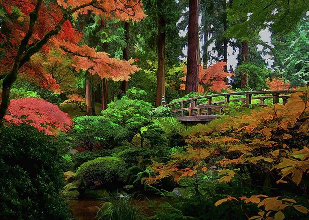 japanese-garden-colors-41_15 Японски градински цветове
