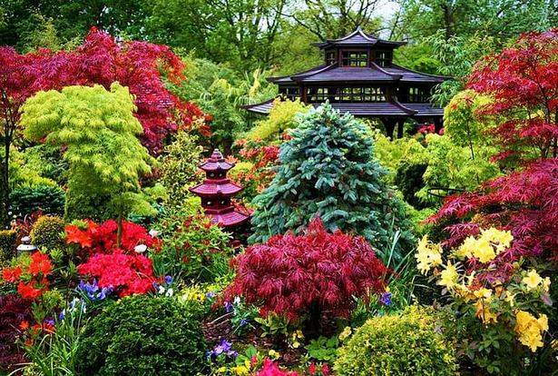 japanese-garden-colors-41_2 Японски градински цветове
