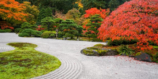 japanese-garden-colors-41_9 Японски градински цветове