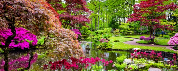 japanese-garden-flowering-plants-57_15 Японска градина цъфтящи растения