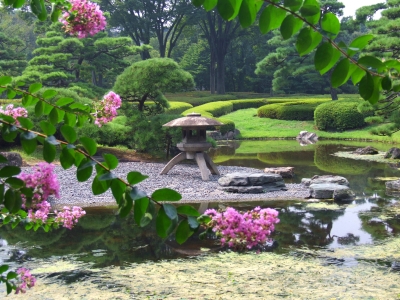 japanese-garden-flowering-plants-57_6 Японска градина цъфтящи растения
