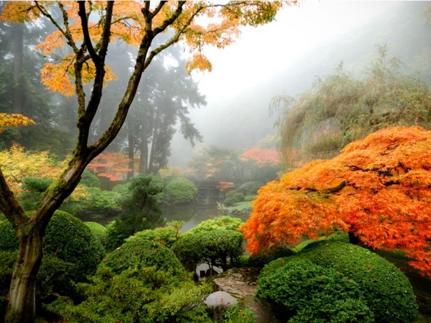 japanese-garden-flowering-plants-57_8 Японска градина цъфтящи растения