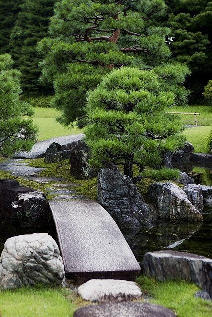 japanese-garden-ground-cover-96_18 Японска градина покритие
