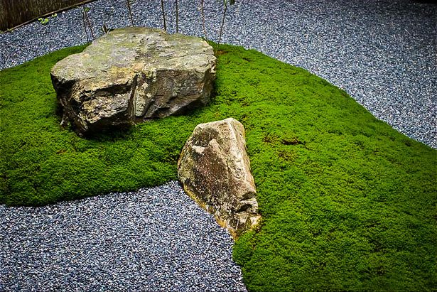 japanese-garden-ground-cover-96_9 Японска градина покритие