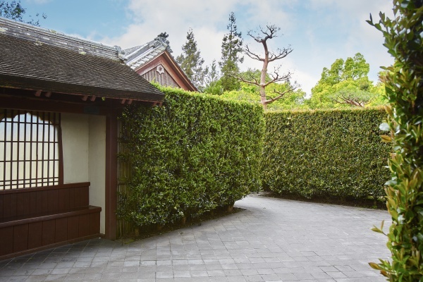 japanese-garden-hedge-75_16 Японска градина жив плет