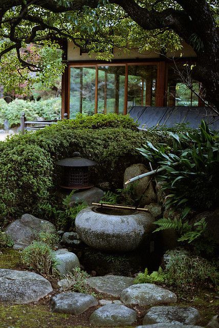 japanese-garden-hedge-75_17 Японска градина жив плет