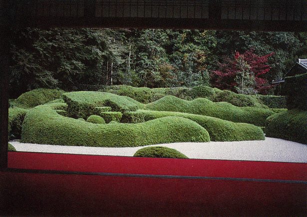 japanese-garden-hedge-75_3 Японска градина жив плет