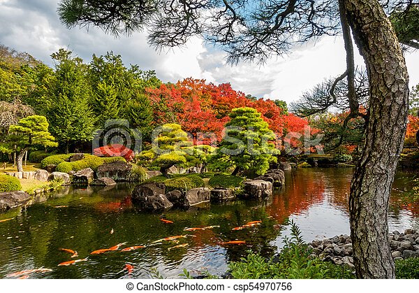 japanese-garden-koi-47_4 Японска градина кои