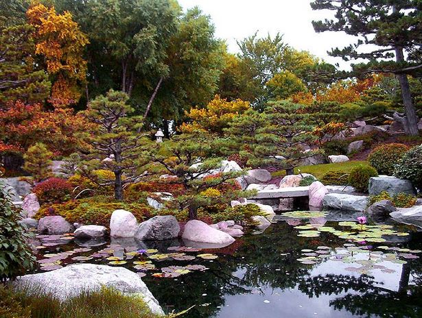 japanese-garden-mn-19 Японска градина