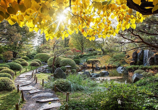 japanese-garden-mn-19_15 Японска градина