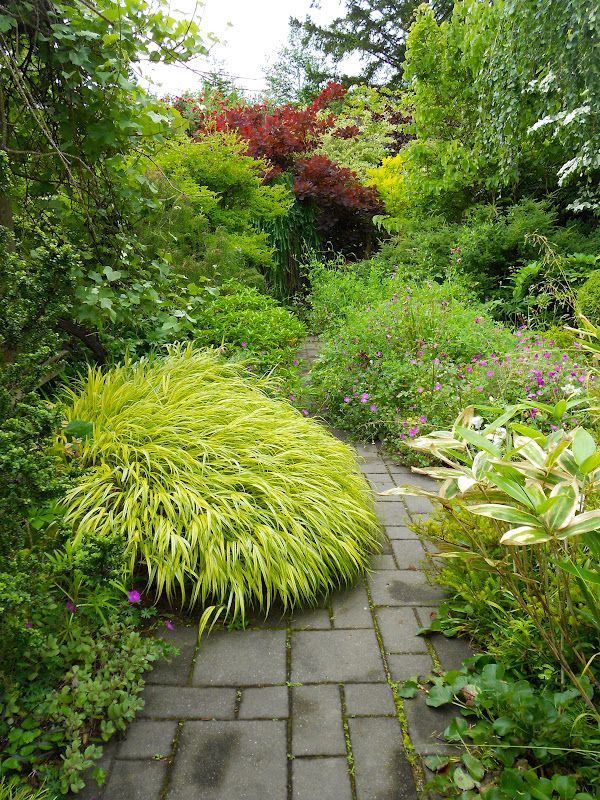 japanese-garden-perennials-07 Японска градина трайни насаждения
