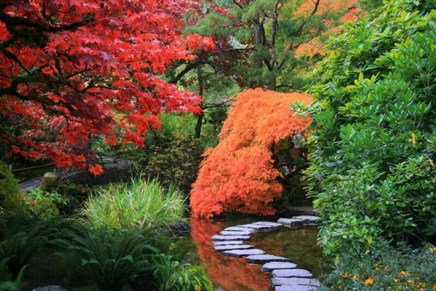 japanese-garden-perennials-07_9 Японска градина трайни насаждения