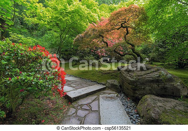 japanese-garden-plants-and-shrubs-27_17 Японски градински растения и храсти