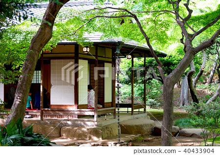 Японска градина стая