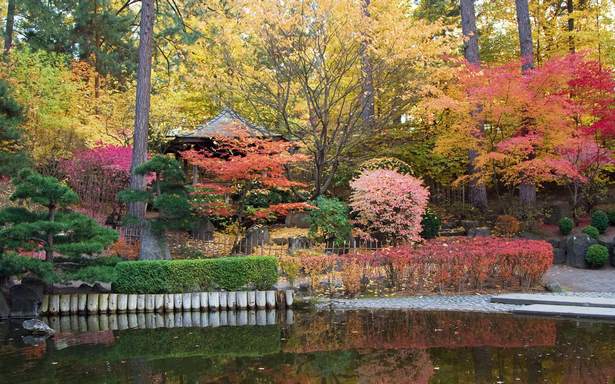 japanese-garden-shrubs-and-trees-19_10 Японски градински храсти и дървета