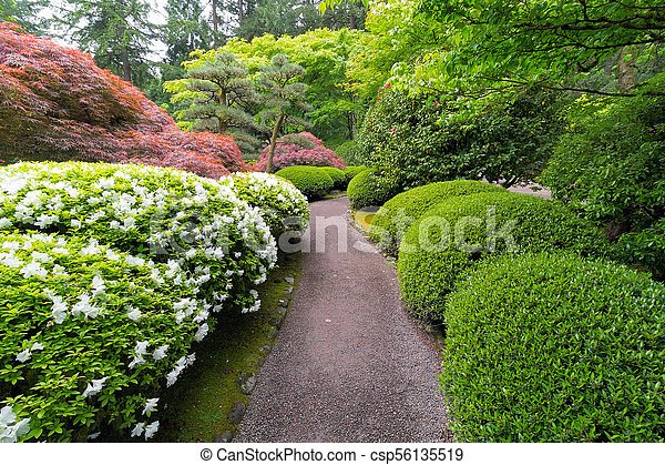 japanese-garden-shrubs-and-trees-19_2 Японски градински храсти и дървета
