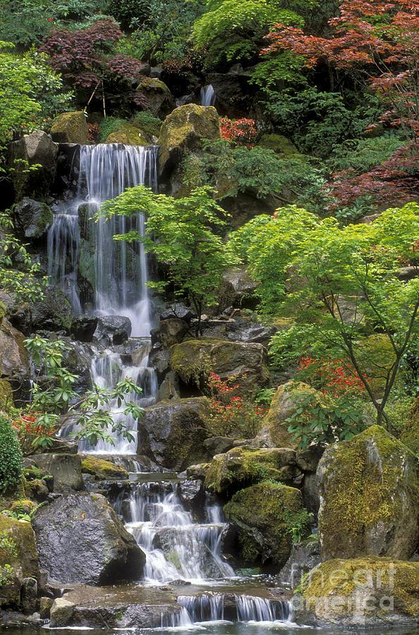 Водопад японска градина
