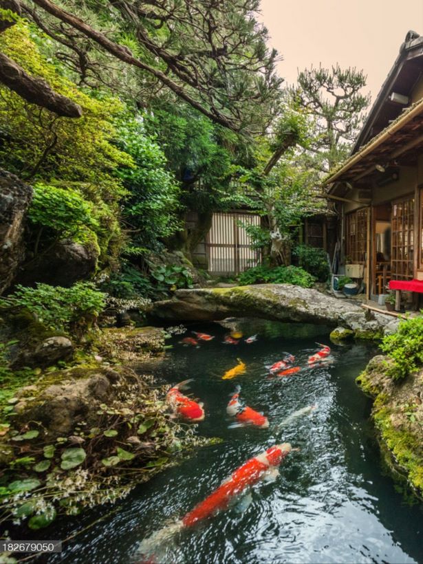 japanese-koi-pond-garden-design-35_2 Японски кой езерце градина дизайн