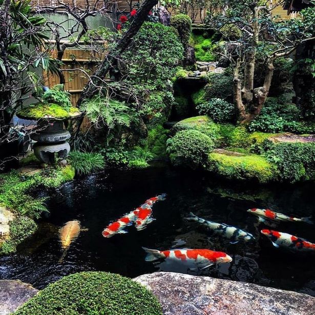 japanese-koi-pond-garden-design-35_6 Японски кой езерце градина дизайн