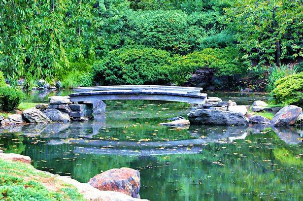 japanese-koi-pond-garden-45_12 Японски кой езерце градина