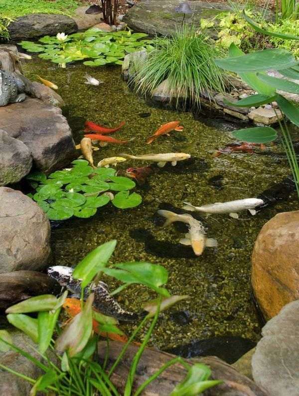 japanese-koi-pond-garden-45_5 Японски кой езерце градина