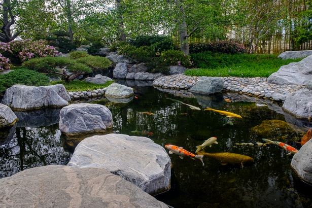japanese-koi-pond-garden-45_6 Японски кой езерце градина
