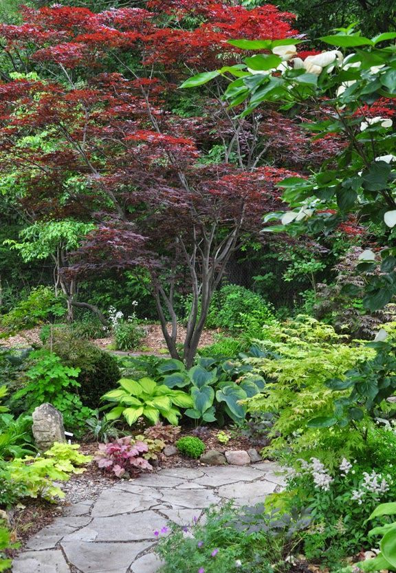 japanese-maple-garden-design-ideas-72_11 Японски клен градина дизайн идеи